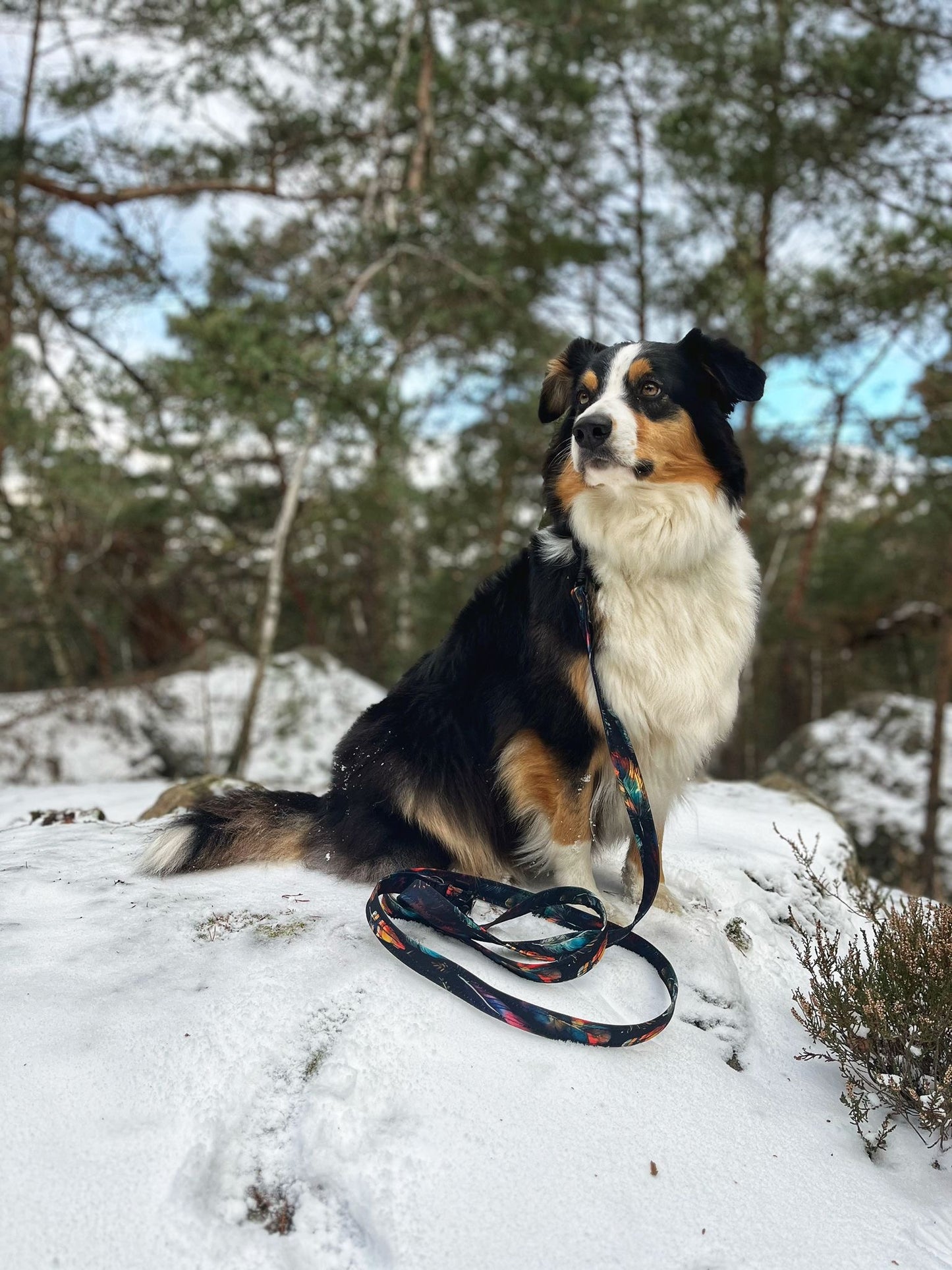 EBBI PŘEPÍNACÍ VODÍTKO