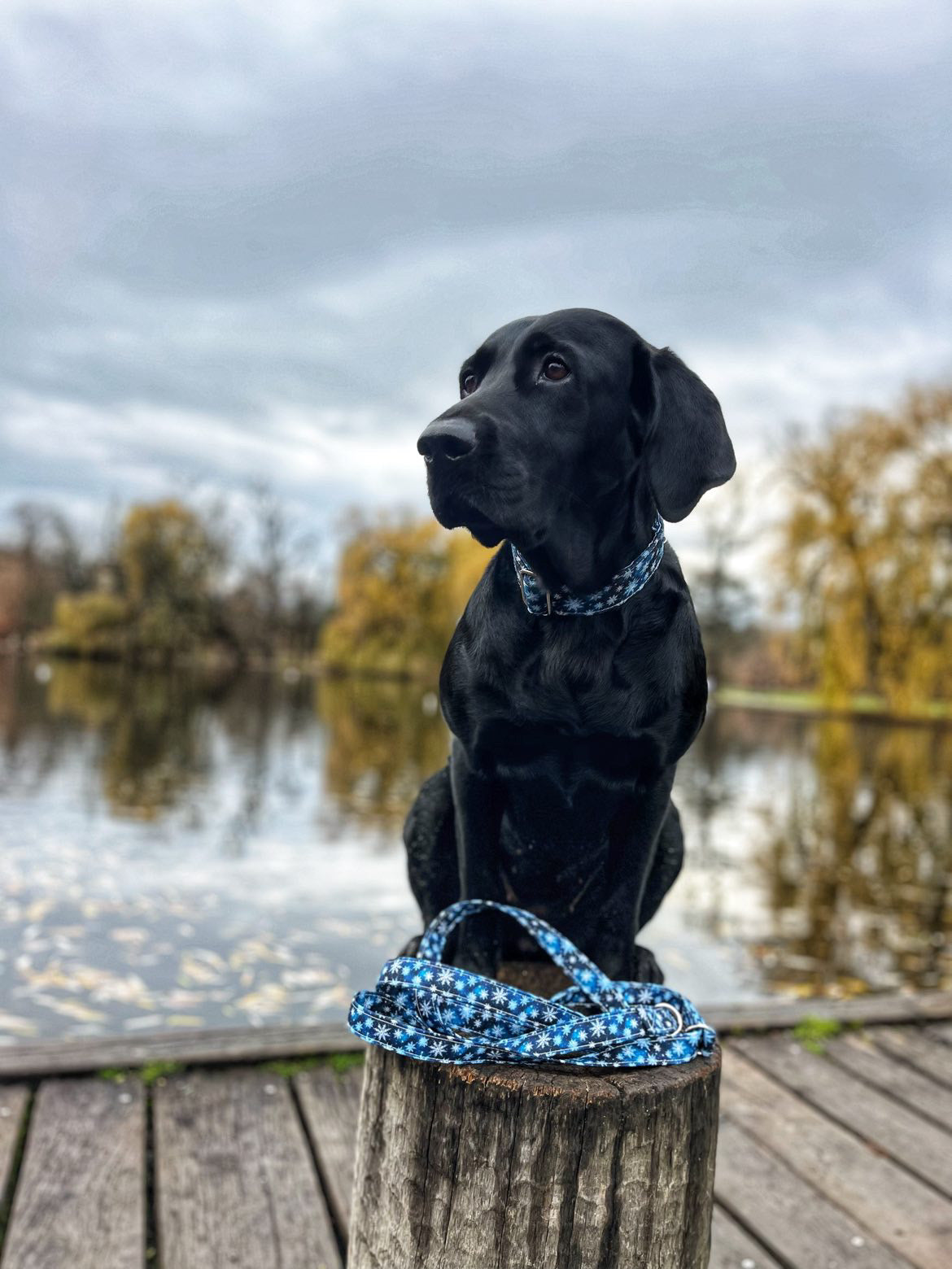 FROZEN SNOWFLAKES OBOJEK (AKCE 🎄)