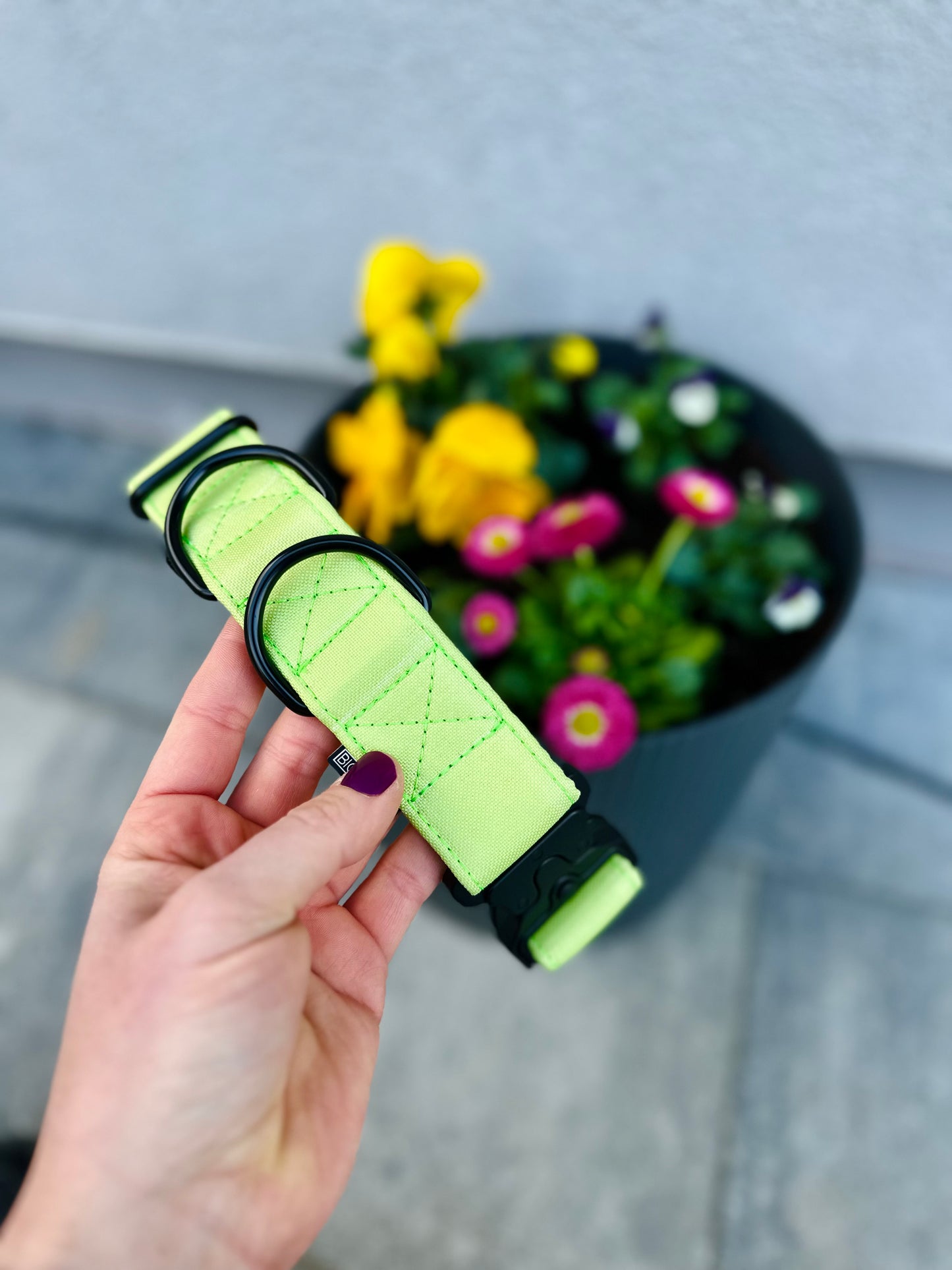 LIME OBOJEK