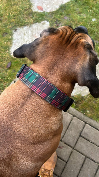 GENTLE PAWS OBOJEK (AKCE 🎄)