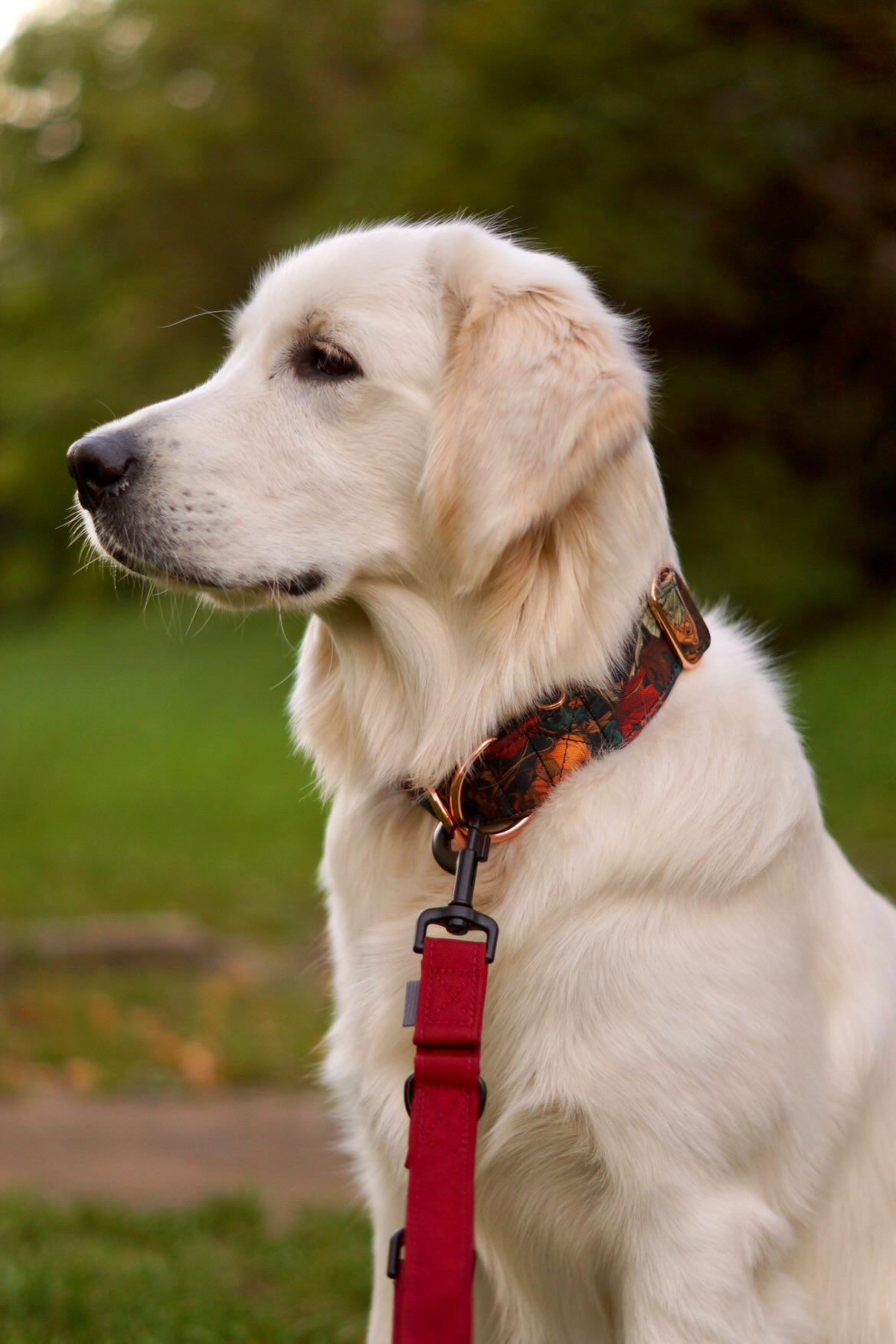 GOOD BYE SUMMER OBOJEK