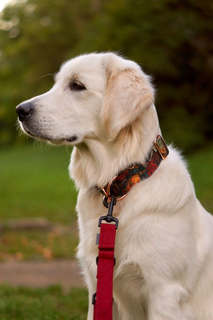 GOOD BYE SUMMER OBOJEK